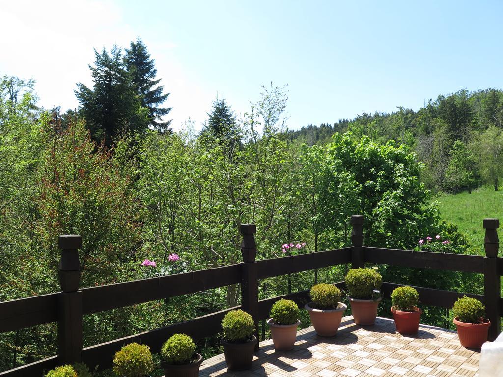 Apartments Montana Fužine Dış mekan fotoğraf